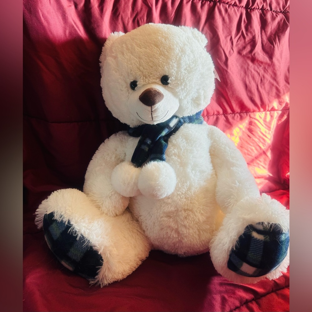 Teddy